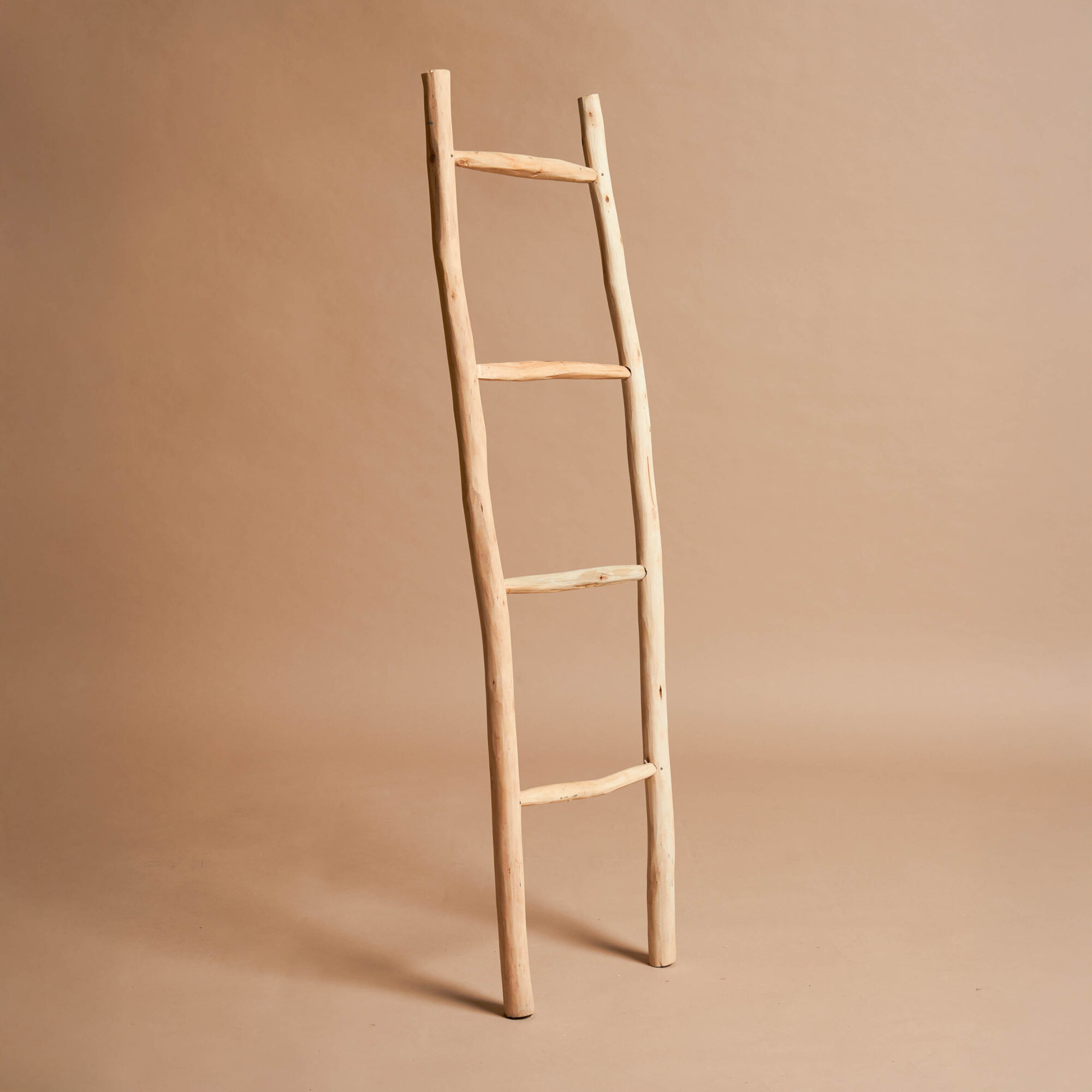 Oum_shooting fotografico 14.11.20240516-Modifica-Modifica Oum_shooting fotografico 14.11.20240516-Modifica-Modifica