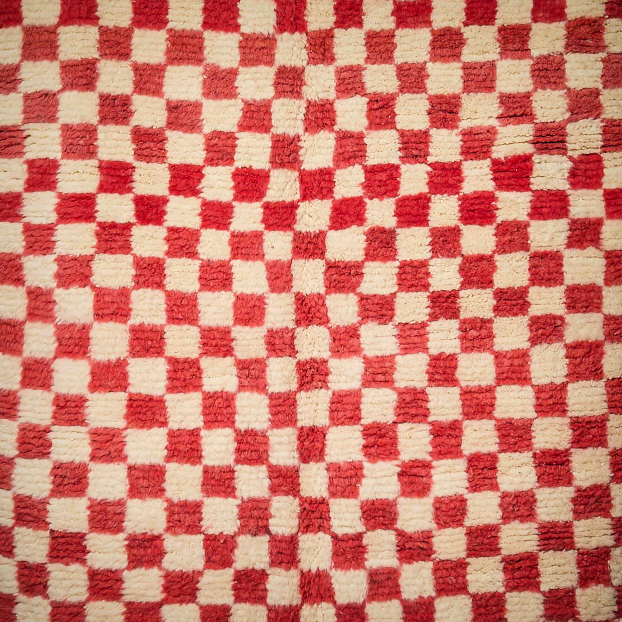 Oum_shooting fotografico 14.11.20249863 Oum_shooting fotografico 14.11.20249863