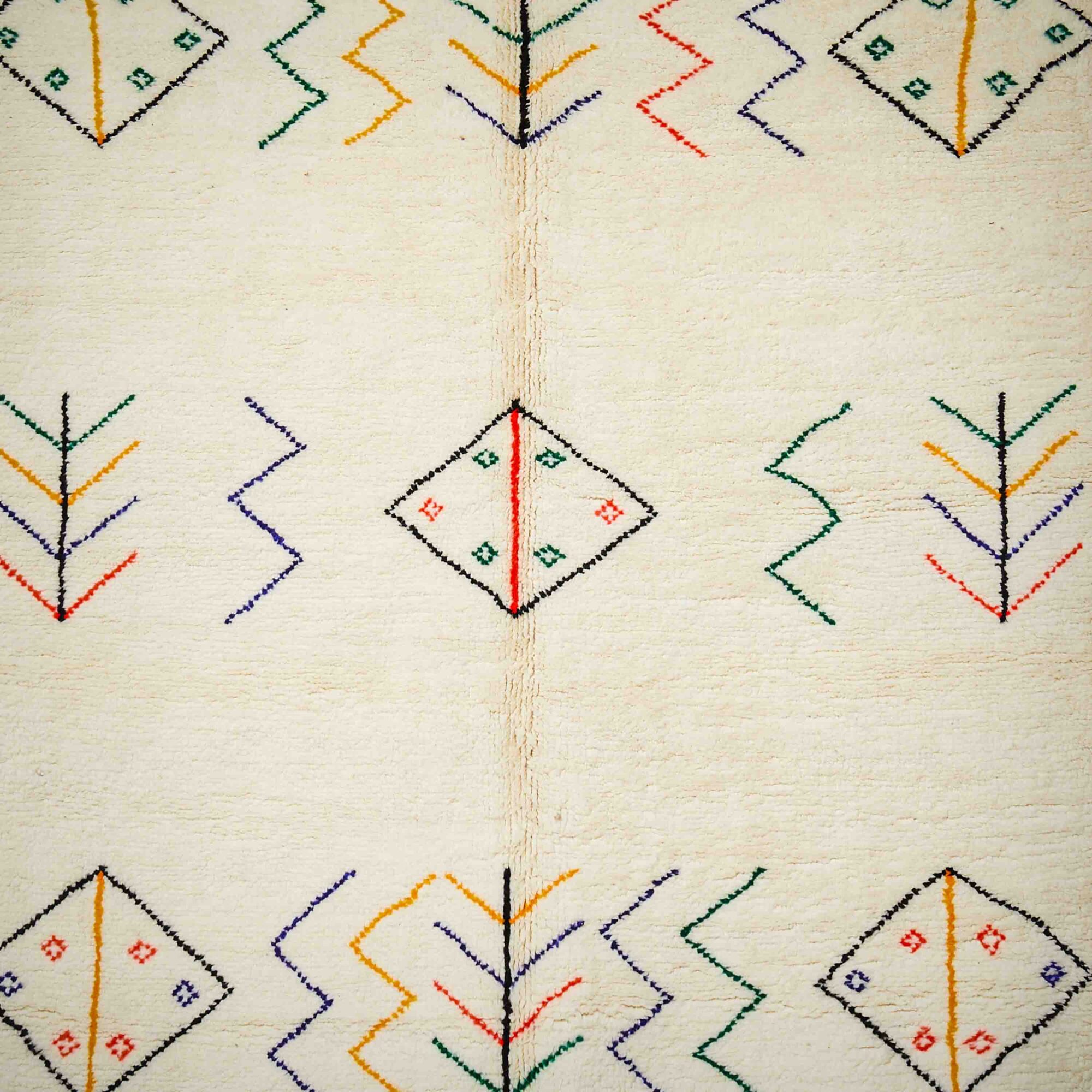 Oum_shooting fotografico 14.11.20249905 Oum_shooting fotografico 14.11.20249905