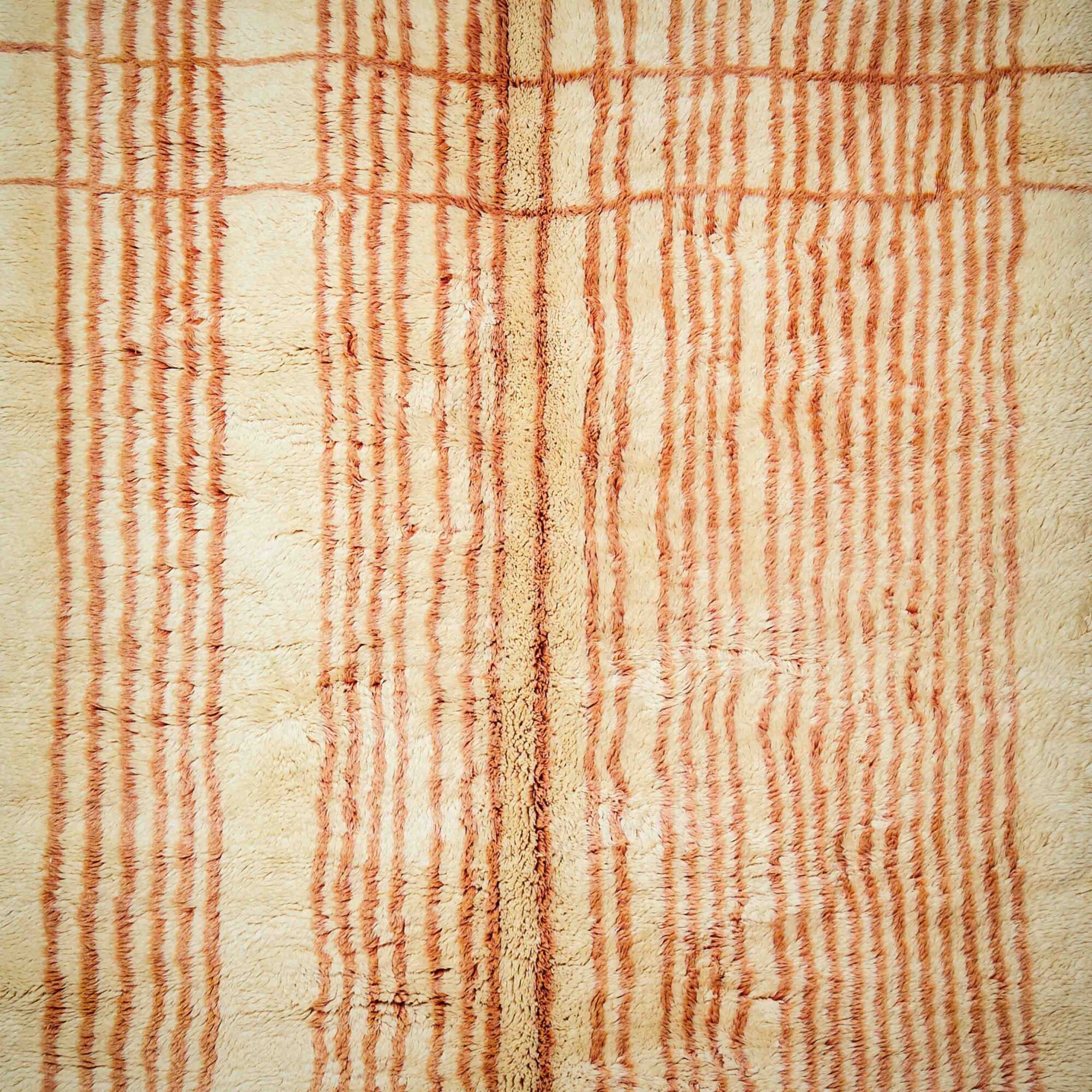 Oum_shooting fotografico 14.11.20249959 Oum_shooting fotografico 14.11.20249959